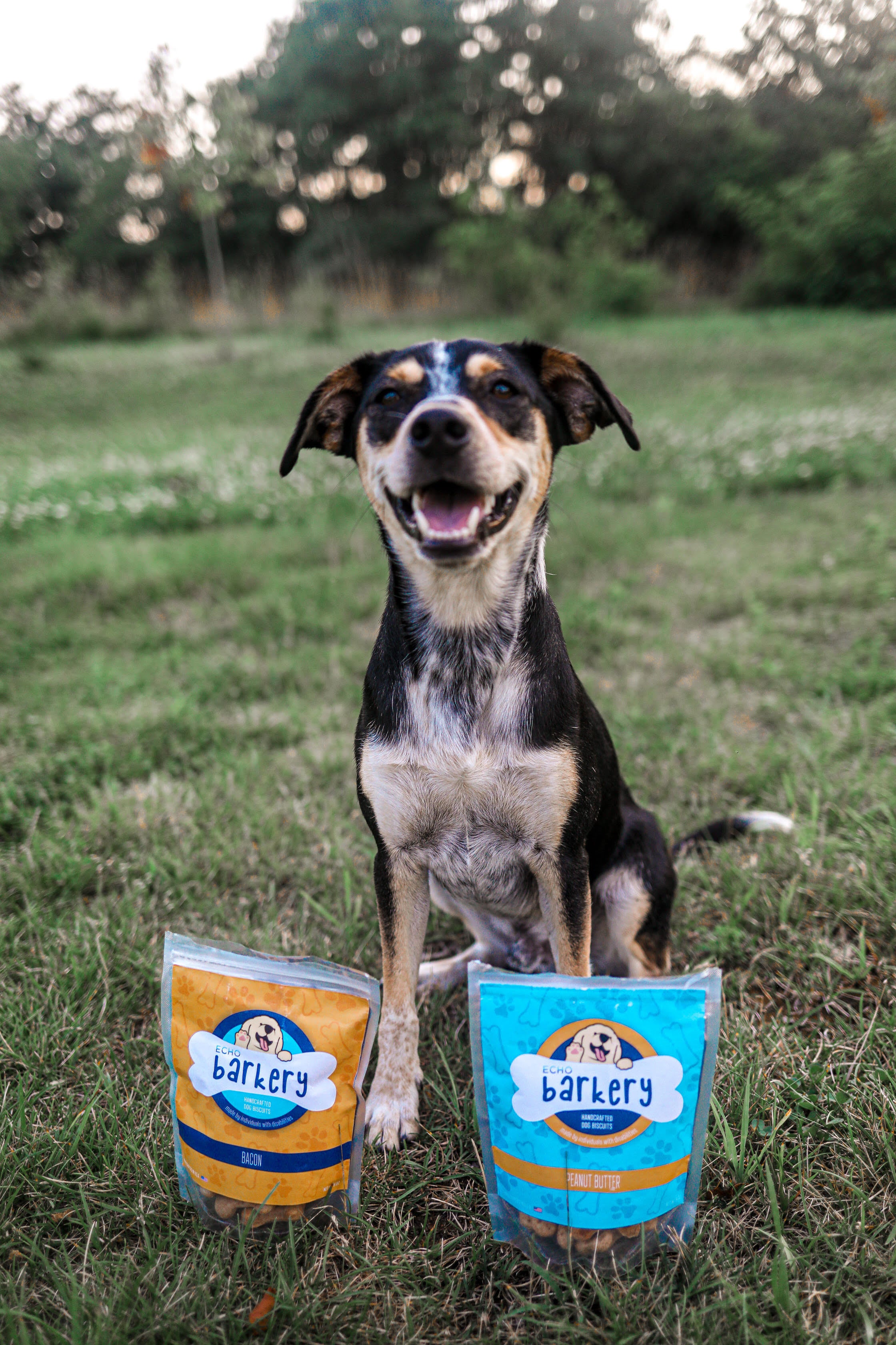 The barkery hotsell dog treats