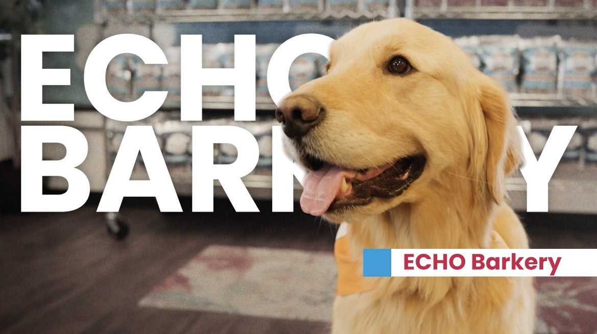 ECHO Barkery Dog Biscuits
