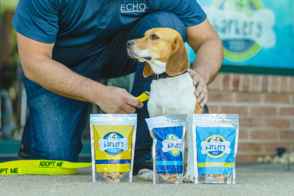 Dog Treats – ECHO Barkery