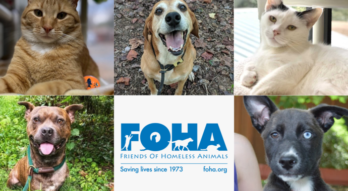 Donate to Friends of Homeless Animals